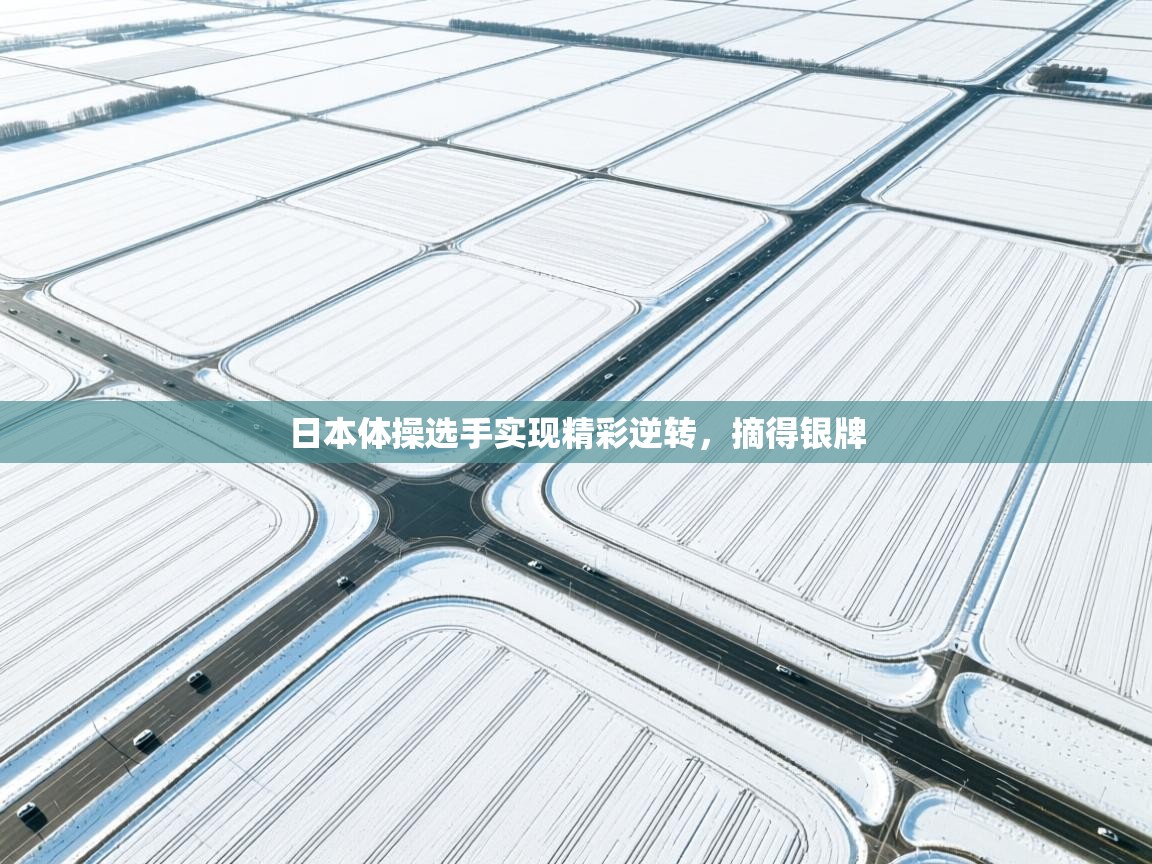 日本体操选手实现精彩逆转，摘得银牌  第2张